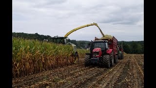 FD CUMA MORBIHAN -  Ensilage maïs 2018 CUMA Printanière et Arz 2000