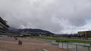 ウェザーリポート動画1228@宝塚市　阪神競馬場　12時頃　byナリ