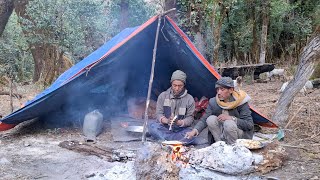 A Day in the Life of Nepal’s Himalayan Shepherds Life  | Most Peaceful Sheep beautiful Life ..