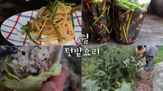 [June In Korea]Garden dishes that can't be tasteless/Garlic scapes/Butterhead lettuce / Kale