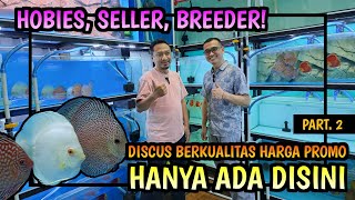 DARI HOBIES, SELLER,  DAN MENJADI BREEDER || DISCUS HARGA PROMO HANYA ADA DISINI