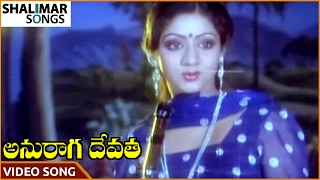 Anuraga Devatha Movie || Choosuko Padhilanga Video Song || NTR, Jayapradha || Shalimar Songs