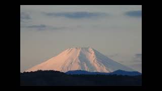 狭山からの富士山　朝・夕　20240128