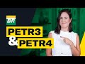 Por que NÃO INVISTO em Petrobras? (PETR3 e PETR4)