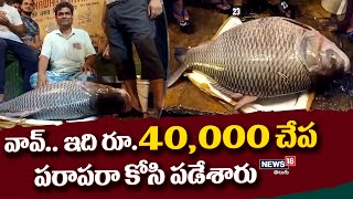 WestBangal: వావ్.. ఇది రూ.40,000 చేప..పరాపరా కోసి పడేశారు || giant Katla Fish | News18 Telugu