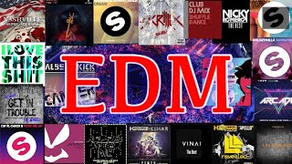 고막 터질거 같은 미처버린 드랍 레전드 하드 EDM명곡 mix (Drop hard EDM masterpiece that makes my ears burst. Mix) [클럽 노래]