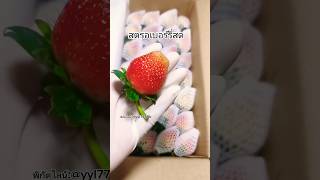 สตรอเบอร์รี่สด (strawberry Chiang Mai)  #fruit #strawberry #ผลไม้สด