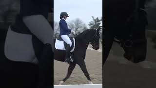 Clips from my 1st level championship at the US Dressage Finals! ‼️Watch the full video on my channel