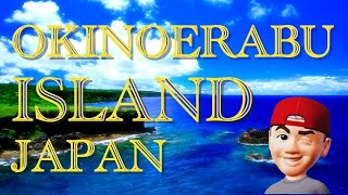 【沖永良部島 空撮】OKINOERABU ISLAND JAPAN:半崎と田皆岬を撮影！マリンブルーの岬　夏色の岬です。