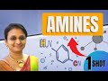 🔥 AMINES - One Shot Video | Complete Chapter|  youtube |  English language | #vanimaamwoc  #woc