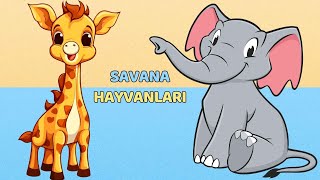 Hayvanları Öğreniyorum ve Seviyorum! Savana Macerası🦁🐘 Hayvanları Tanıyalım