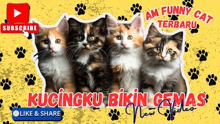 Kompilasi video anak kucing ‼️|| AM FUNNY CAT TERBARU #cat #pets #funny #fypシ゚ #trending