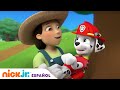 PAW Patrol | PAW Patrol salva a un buhito |  Nick Jr. en Español