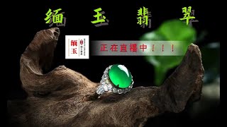 #中缅边境翡翠市场#珠寶翡翠直播 2024.11.17#jewellery jadiete#珠宝代购#缅玉翡翠#YouTube 直播#翡翠戒面#满色戒面#玉石鉴定#翡翠鉴别#翡翠砍价#翡翠镶嵌#缅甸