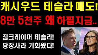 캐시우드 테슬라 대량매도! 무려 8만5천주 던진이유! 짐크레이머 테슬라 지금이 가장싸다 당장 사야할 주식 테슬라! 언론들 테슬라 완전 새로운 이야기를 쓰고 있다! 테슬라 대폭발중!