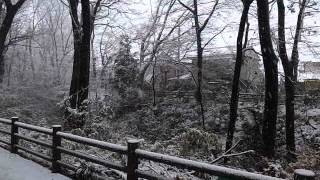 Tokyo Snow - January 14th, 2013 - (130114)