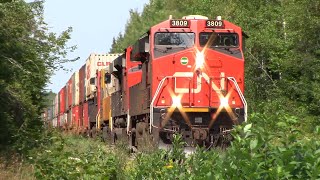 Rare Newcastle Sub Stack Train! Long Rerouted Stack Train CN 120 at Canaan Station, NB