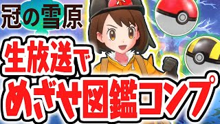 カンムリ図鑑コンプリートを目指せ!!全部で何匹いるの!?冠の雪原で生放送【ポケットモンスター ソード・シールド】