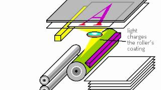 Xerography principle, Rate My Science