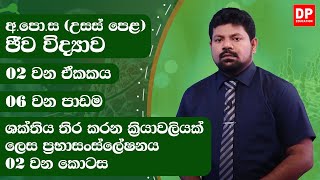 2 වන ඒකකය | 06  වන පාඩම -  ශක්තිය තිර කරන ක්‍රියාවලියක් ලෙස ප්‍රභාසංස්ලේෂණය  -  02 වන කොටස.