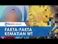 Fakta-Fakta Kematian Tragis Gadis di Garut yang Jenazahnya Ditemukan dengan Kondisi Tertusuk Bambu