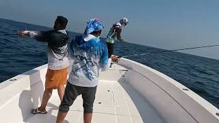 Catching king fish in the morning@