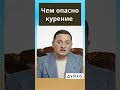 Почему курение опасно для здоровья