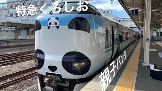 【JR】 特急くろしお パンダくろしお 親子パンダ サスティナブル ｜ JR west panda Kuroshio Express sustainable train