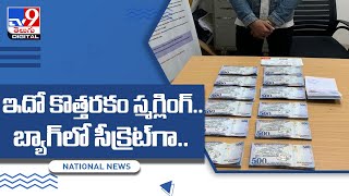 ఇదో కొత్తరకం స్మగ్లింగ్‌..బ్యాగ్‌లో సీక్రెట్‌గా.. - TV9