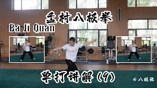 Single Form Tutorial 9【Martial Arts/Kung Fu】Baji Quan Tutorial Session 7 Dan Da: 八极拳教学 动作讲解9