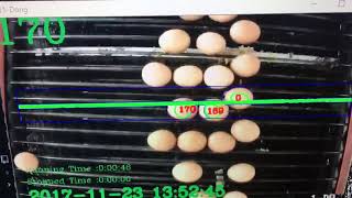 Egg counter with computer vision on the conveyor