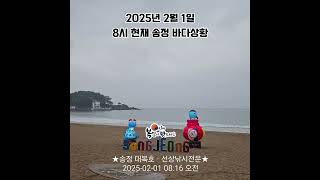 2025년 2월 1일 8시 현재 송정 바다상황