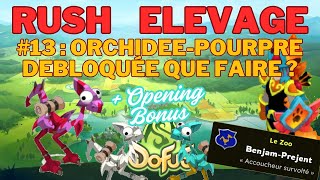 Rush Elevage #13 : Astuce Opti Rush ✅ + Opening Tenta Ivoire et Turquoise 🎁