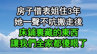 房子借表姐住3年，她一聲不吭搬走後，床鋪裏藏的東西，讓我們全家都傻眼了#深夜淺讀 #為人處世 #生活經驗 #情感故事