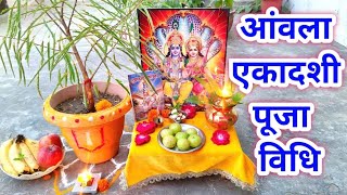 Aamla Ekadashi Pooja 20/21 March 2024 !! आमलकी एकादशी पूजा विधि !! रंगभरी एकादशी पूजा विधि !!