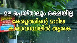 മഴ പെയ്താലും രക്ഷയില്ല കേരളത്തിന്റെ മാറിയ കാലാവസ്ഥയിൽ ആശങ്ക |Rain|Kerala|Alert|Kalla Kadal