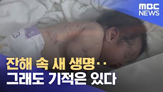 잔해 속 새 생명‥그래도 기적은 있다 (2023.02.09/뉴스투데이/MBC)