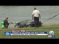 Woman dies after car crashes in lake