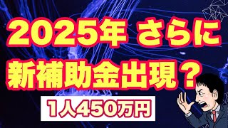 【2025年】さらに新補助金 1人450万円出現？よく見るとあの制度か？？