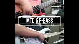 F-bass BN5 VS MTD saratoga 5