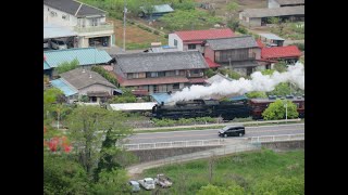 金尾山からSLパレオエクスプレス（秩父鉄道）