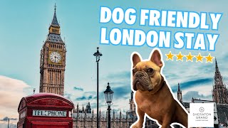 Dog Friendly London Stay at The Sheraton Grand Hotel | London Park Lane