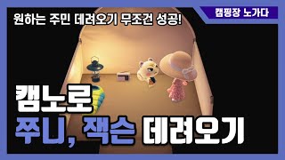 [모동숲 팁] 캠핑장 노가다로 인기 주민 데려오기 + 꿀팁 !