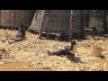 Radio Kassem - Burkina Faso