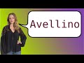 how to say avellino in french