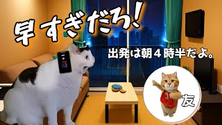 朝風呂に行ったら1日が無駄になった話　#猫ミーム #猫マニ #温泉