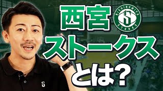 【現役オーナーが語る！】西宮ストークスを丸裸に！？