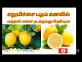 எலுமிச்சை பழம் கனவில் வந்தால் என்ன நடக்கும்னு தெரியுமா 😱#lemon in dream # leman kanavil vanthal