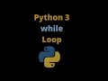 Python while loop