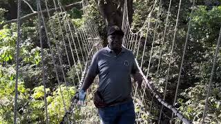 Walking The Treetop Canopy At Lake Manyara National Park